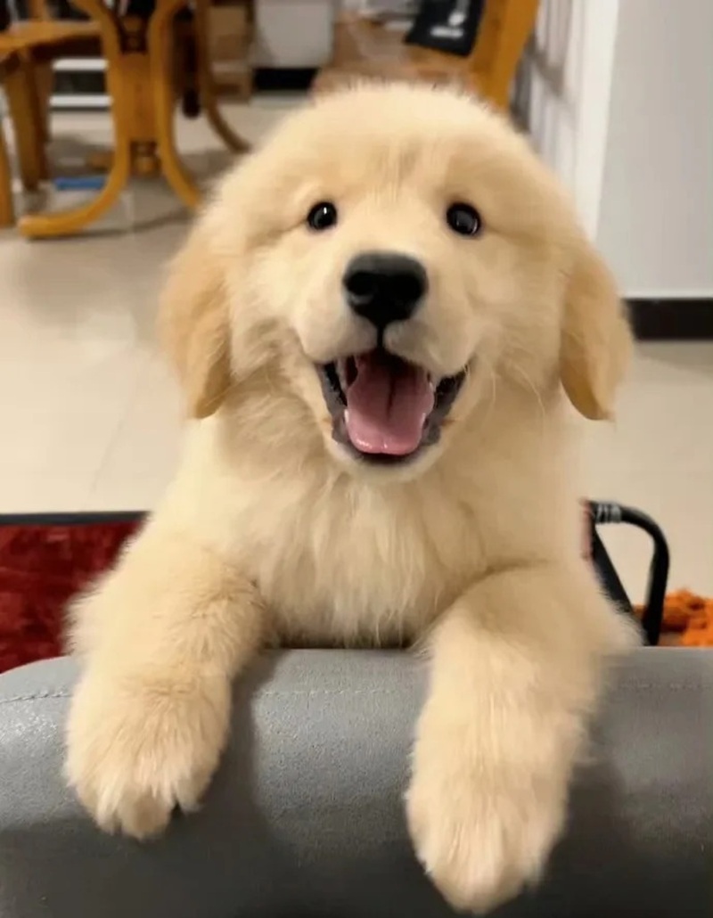 hình ảnh cute nhất the giới 25