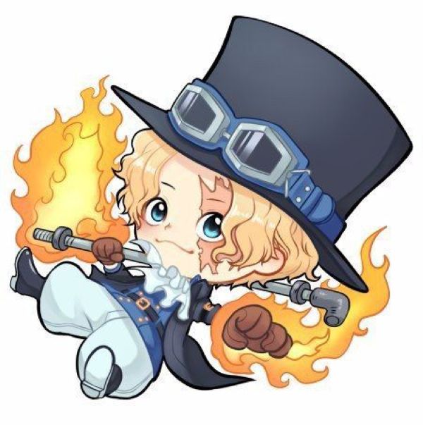 hình ảnh one piece cute​ 19