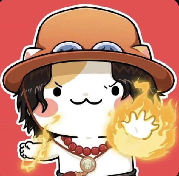 hình ảnh one piece cute​ 4