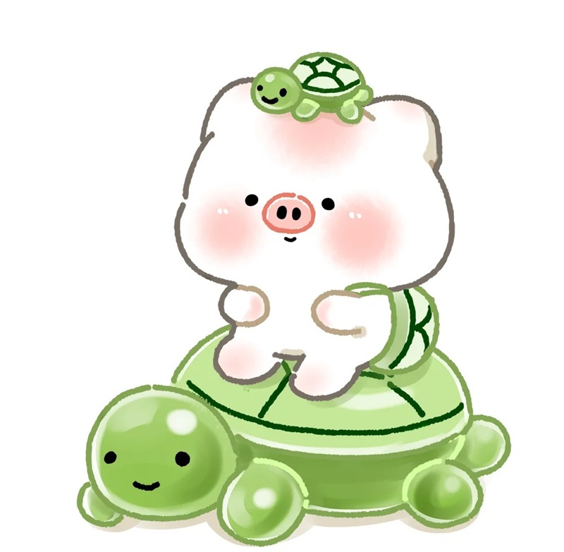rùa cute 18
