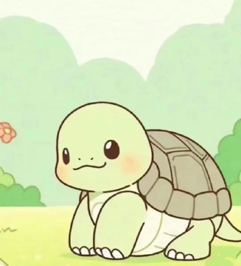 rùa cute 31