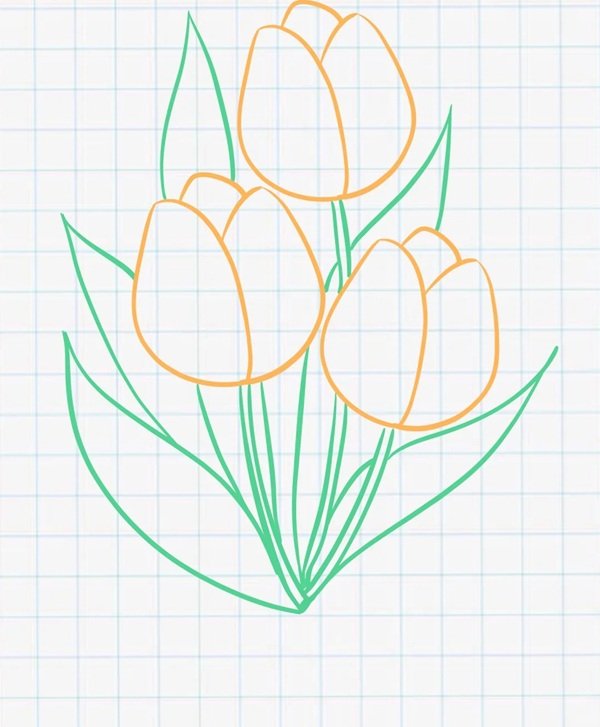 Cách vẽ hoa tulip đẹp 3