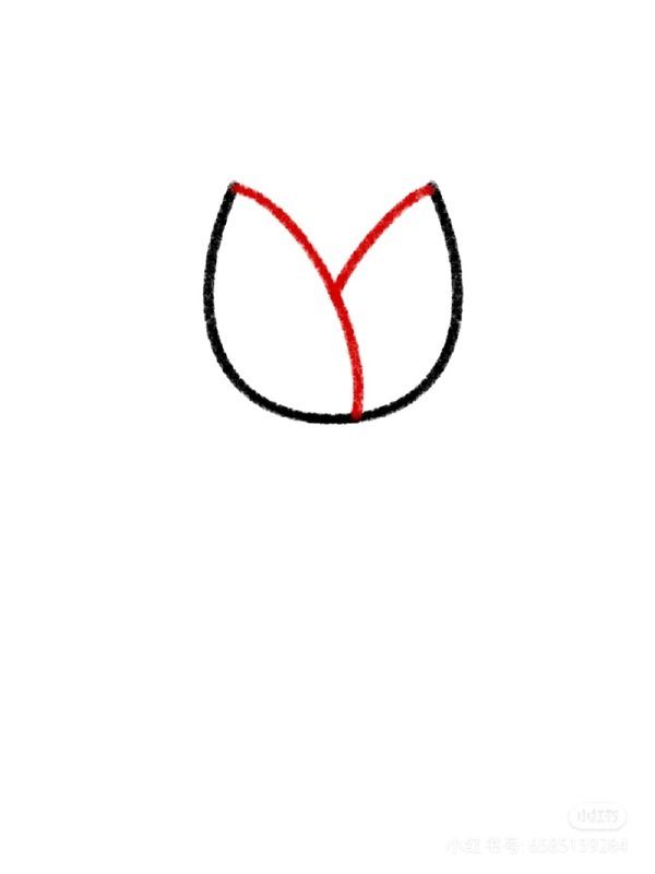 Cách vẽ hoa tulip đơn giản 2