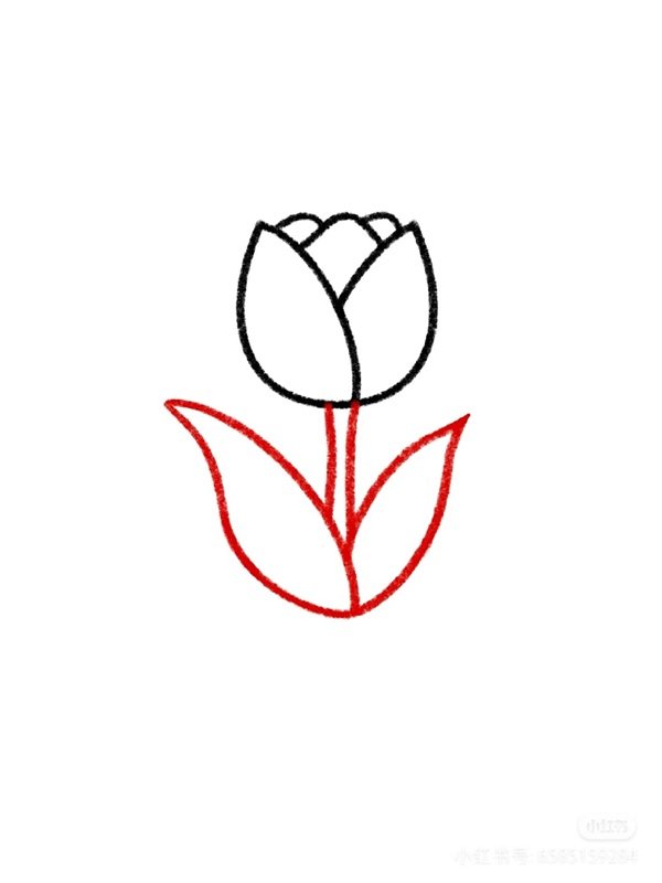 Cách vẽ hoa tulip đơn giản 4