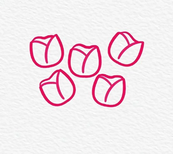 Cách vẽ hoa tulip đơn giản mà đẹp 3