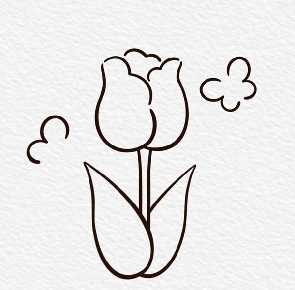 Cách vẽ hoa tulip đơn giản nhất 5