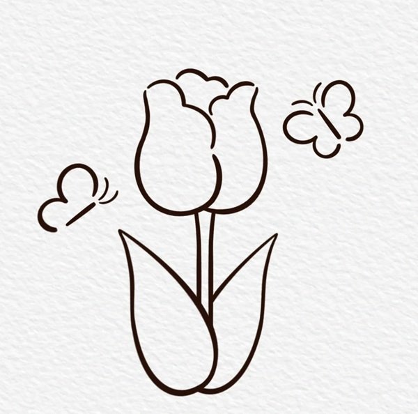 Cách vẽ hoa tulip đơn giản nhất 6