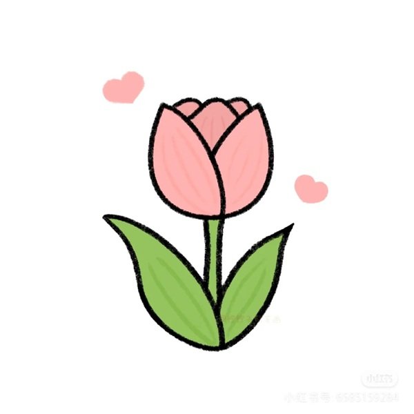 Cách vẽ hoa tulip đơn giản 