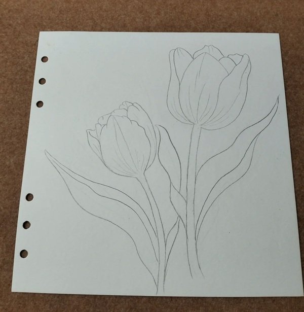 Những cách vẽ hoa tulip 2