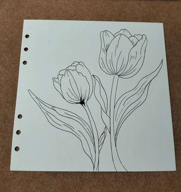 Những cách vẽ hoa tulip 3 