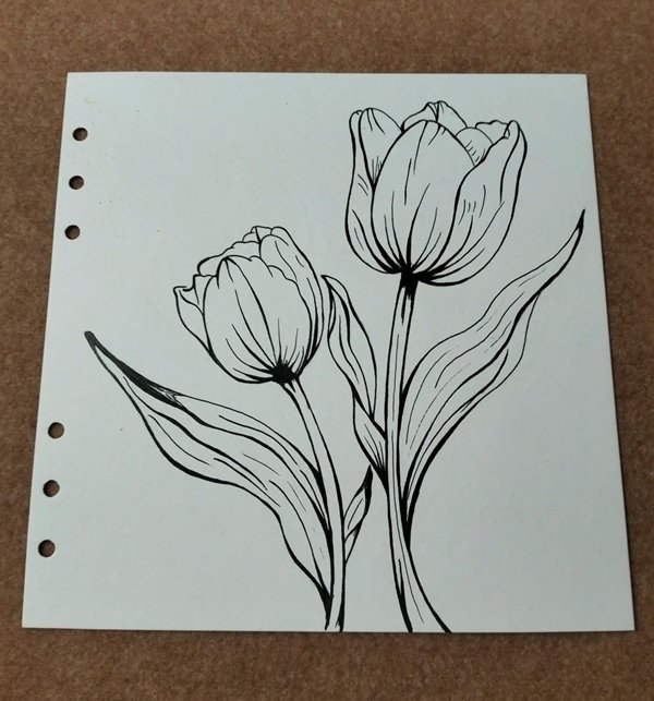 Những cách vẽ hoa tulip
