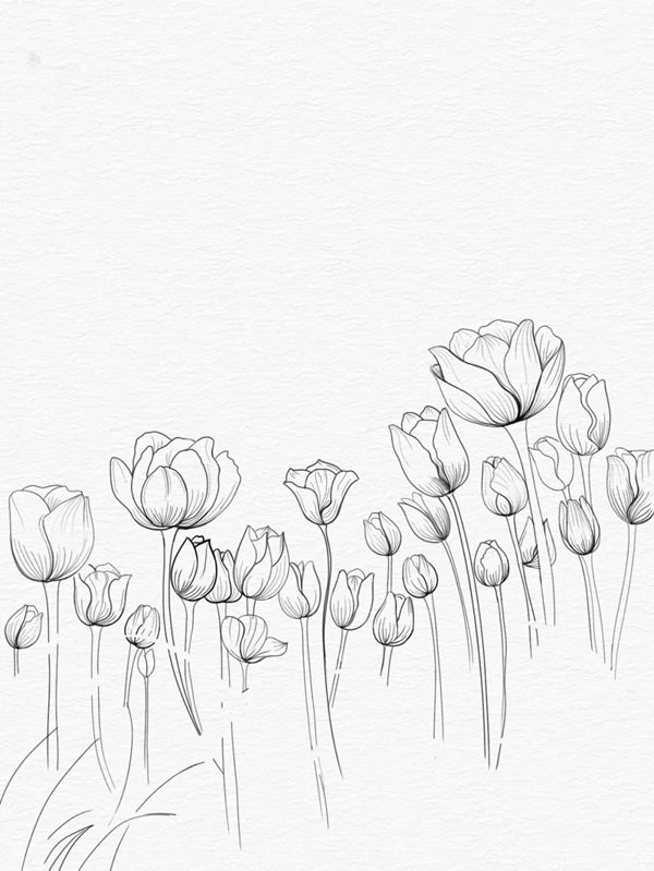 Vẽ hoa tulip cách điệu 3