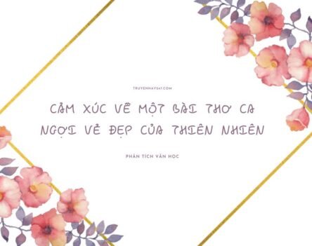 10+ Cảm xúc về một bài thơ ca ngợi vẻ đẹp của thiên nhiên siêu hay