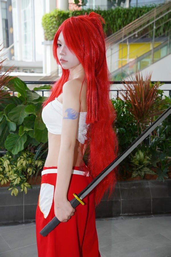 cosplay erza​ 19
