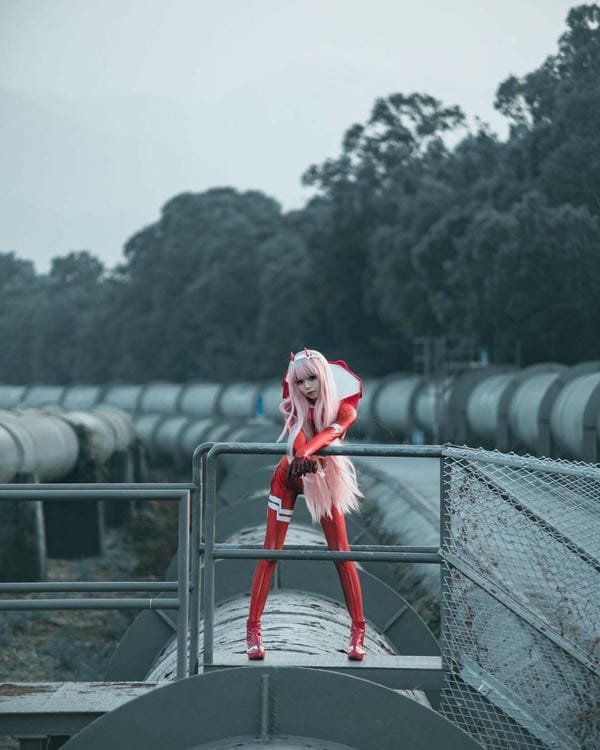 cosplay zero two 6