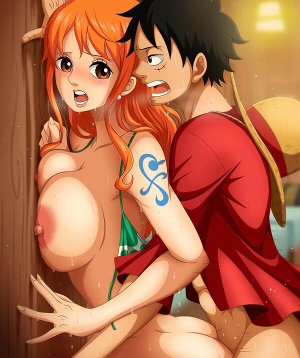 hentai onepiece (24)