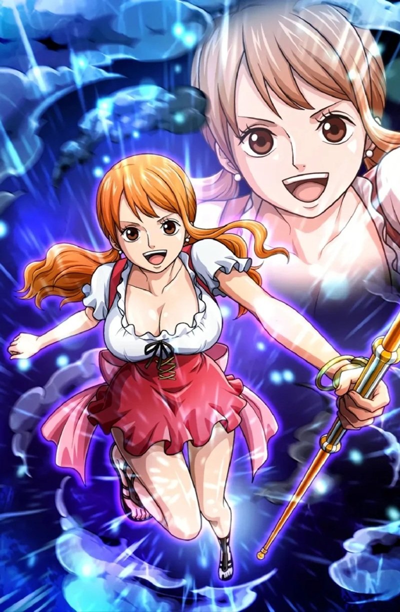 nami bikini 11