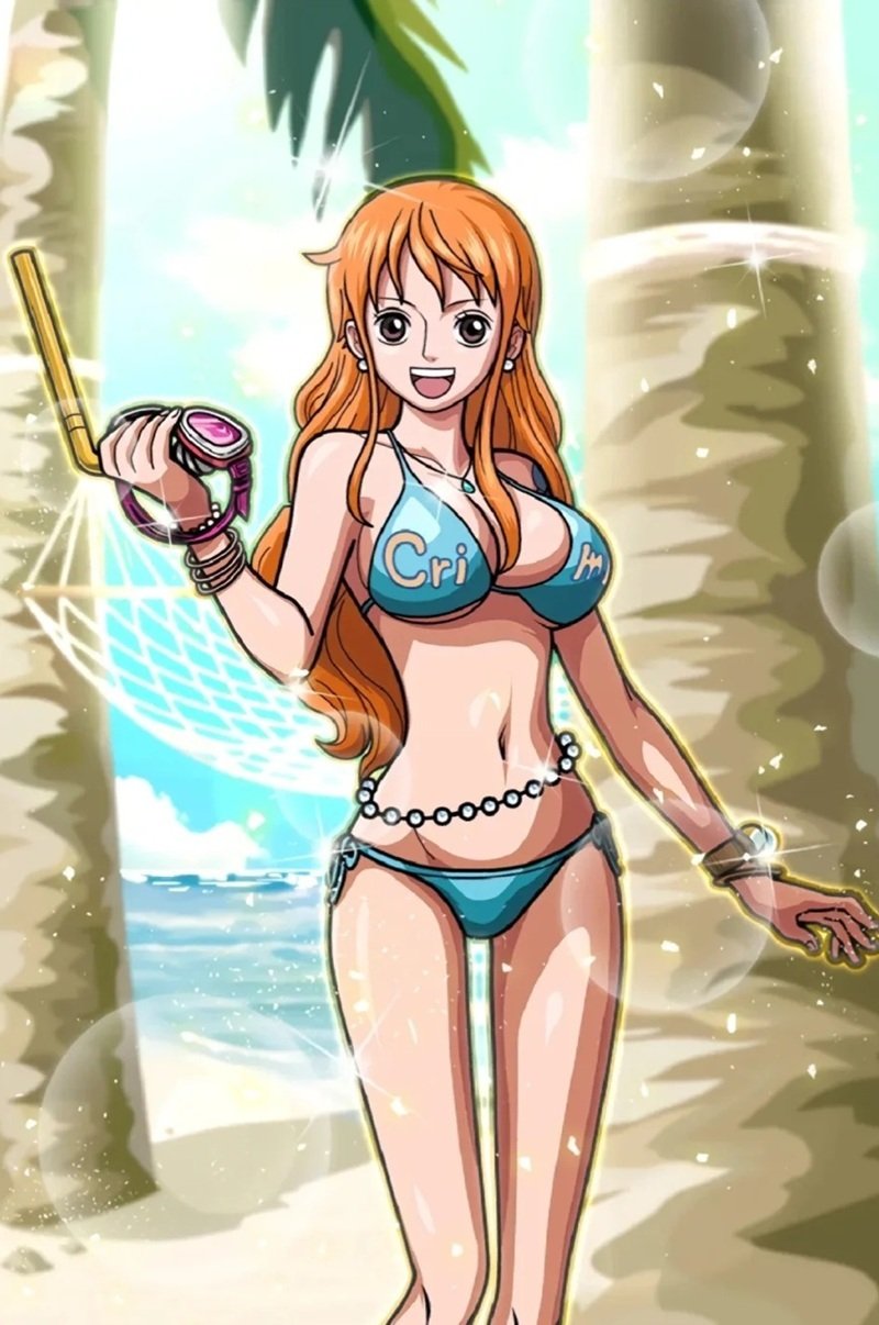 nami bikini 12