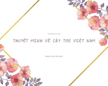 17+ Cách viết bài mẫu thuyết minh về cây tre Việt Nam hay