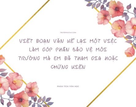 Top 20+ viết đoạn văn kể lại một việc làm góp phần bảo vệ môi trường mà em đã tham gia hoặc chứng kiến