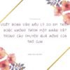 20+ Cách viết đoạn văn nêu lý do em thích hoặc không thích một nhân vật trong câu chuyện Quả hồng của Thỏ Con