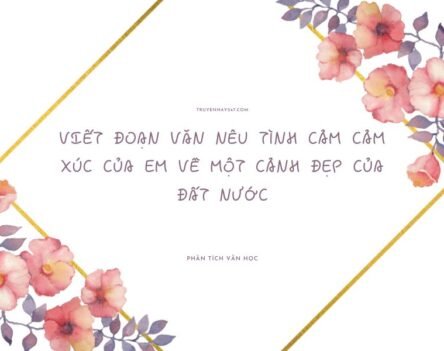 Tổng hợp 15+ mẫu viết đoạn văn nêu tình cảm cảm xúc của em về một cảnh đẹp của đất nước