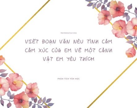 Gợi ý 15+ mẫu viết đoạn văn nêu tình cảm cảm xúc của em về một cảnh vật em yêu thích