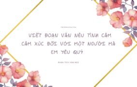 15+ Cách viết đoạn văn nêu tình cảm cảm xúc đối với một người mà em yêu quý siêu hay