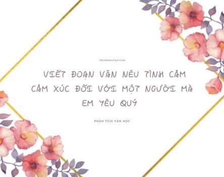 15+ Cách viết đoạn văn nêu tình cảm cảm xúc đối với một người mà em yêu quý siêu hay