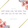 Tổng hợp 10+ mẫu viết đoạn văn thể hiện tình cảm cảm xúc về một bài thơ