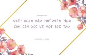 Tổng hợp 10+ mẫu viết đoạn văn thể hiện tình cảm cảm xúc về một bài thơ