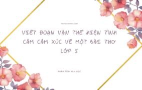 10+ Cách viết đoạn văn thể hiện tình cảm cảm xúc về một bài thơ lớp 5