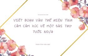 15+ Mẫu viết đoạn văn thể hiện tình cảm cảm xúc về một bài thơ tuổi ngựa