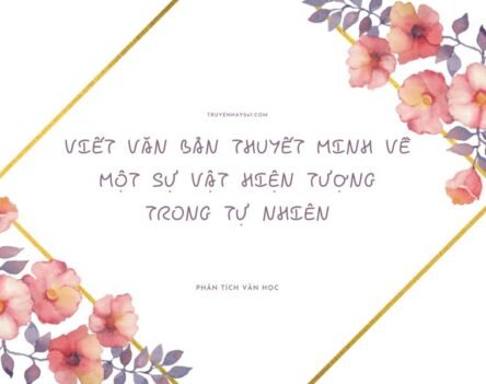 10+ Mẫu viết văn bản thuyết minh về một sự vật hiện tượng trong tự nhiên