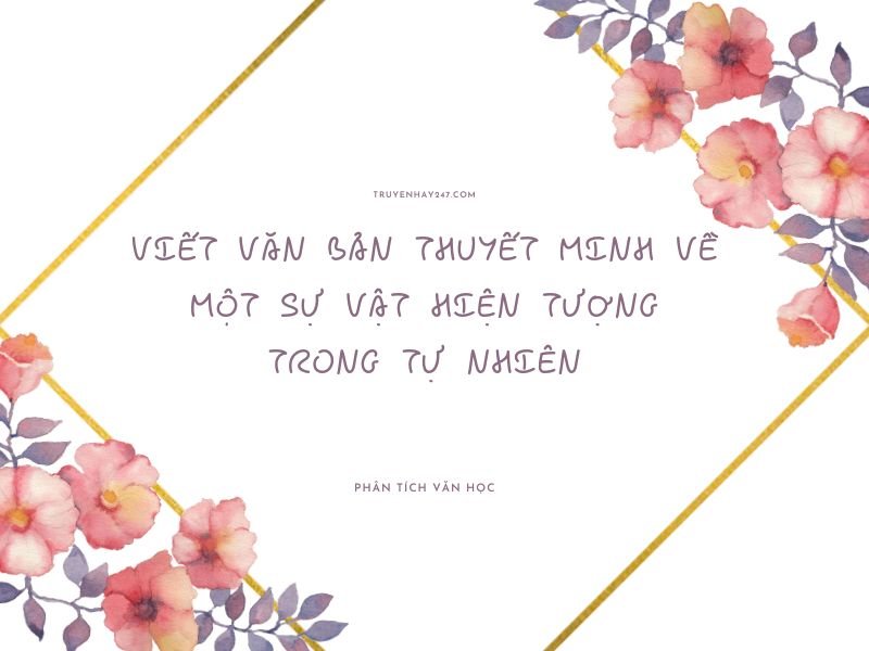 viết văn bản thuyết minh về một sự vật hiện tượng trong tự nhiên