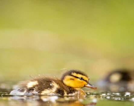 Ảnh Tối Giản – Bí Quyết Chụp Hình Tinh Tế Và Thanh Lịch