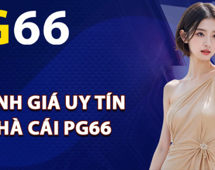 Đánh Giá PG66 – Toàn Cảnh Về Nhà Cái Mới Nổi 2025