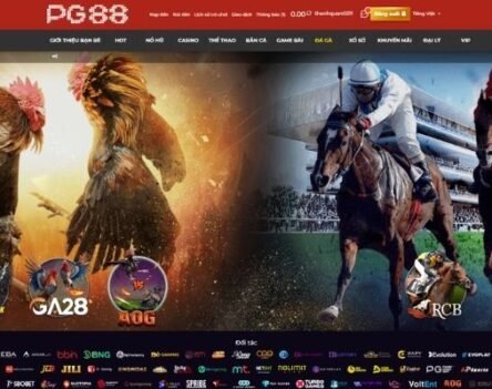 Xem Đá Gà Tại PG88 Chất Lượng Cao Âm Thanh Sống Động