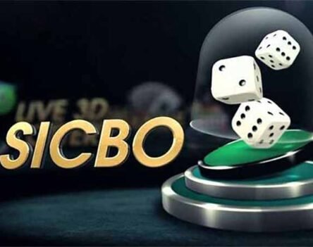 Sicbo là gì? Tìm hiểu trò chơi xúc xắc đỏ đen cực cuốn hút tại 555WIN