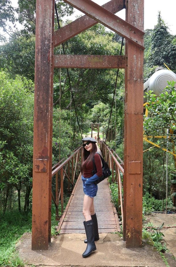 thúy diễm bikini (23)