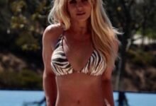 britney spears nude (8)