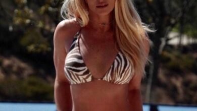 britney spears nude (8)